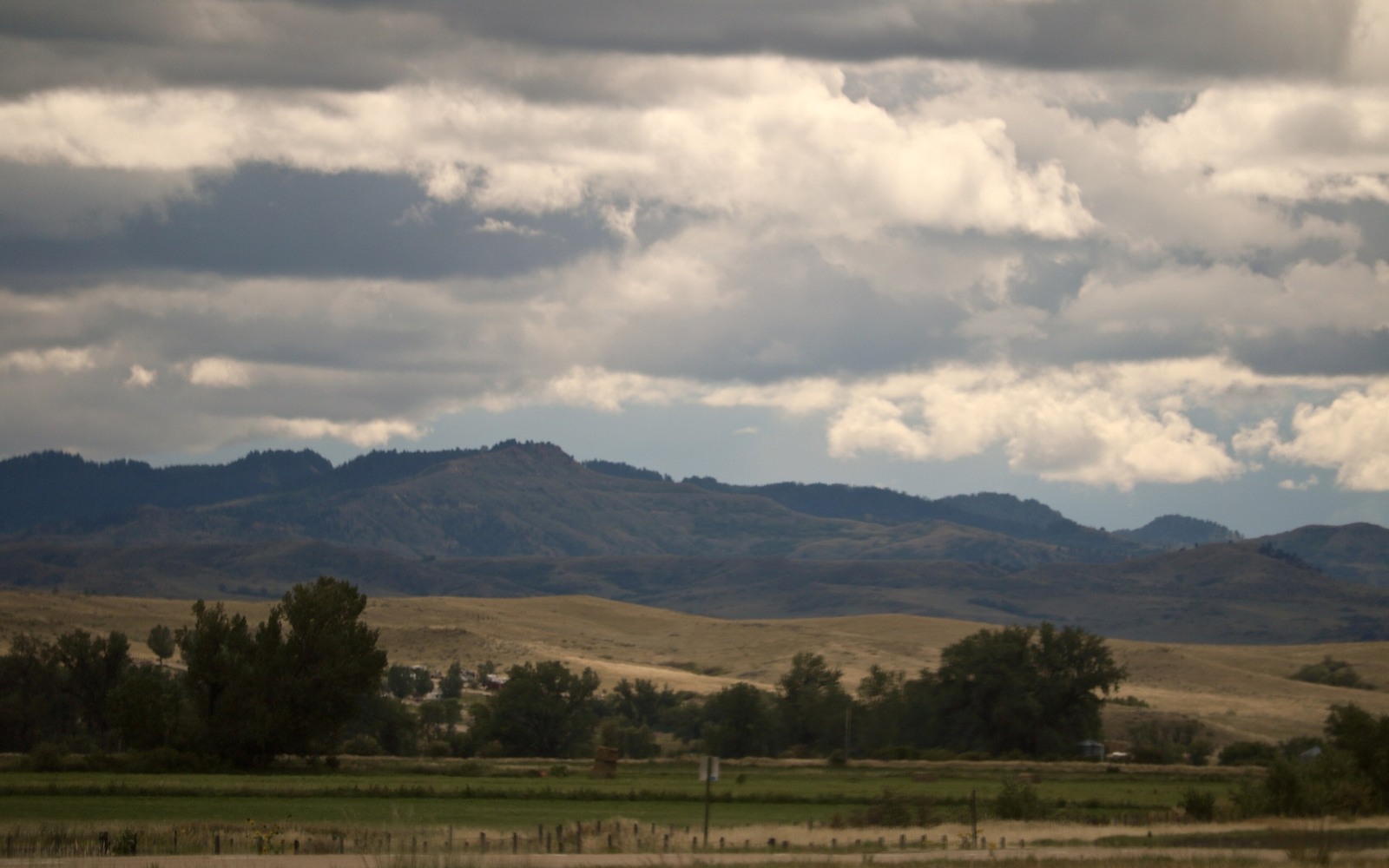 Sell Mineral Rights in Forty Mile Colony, MT