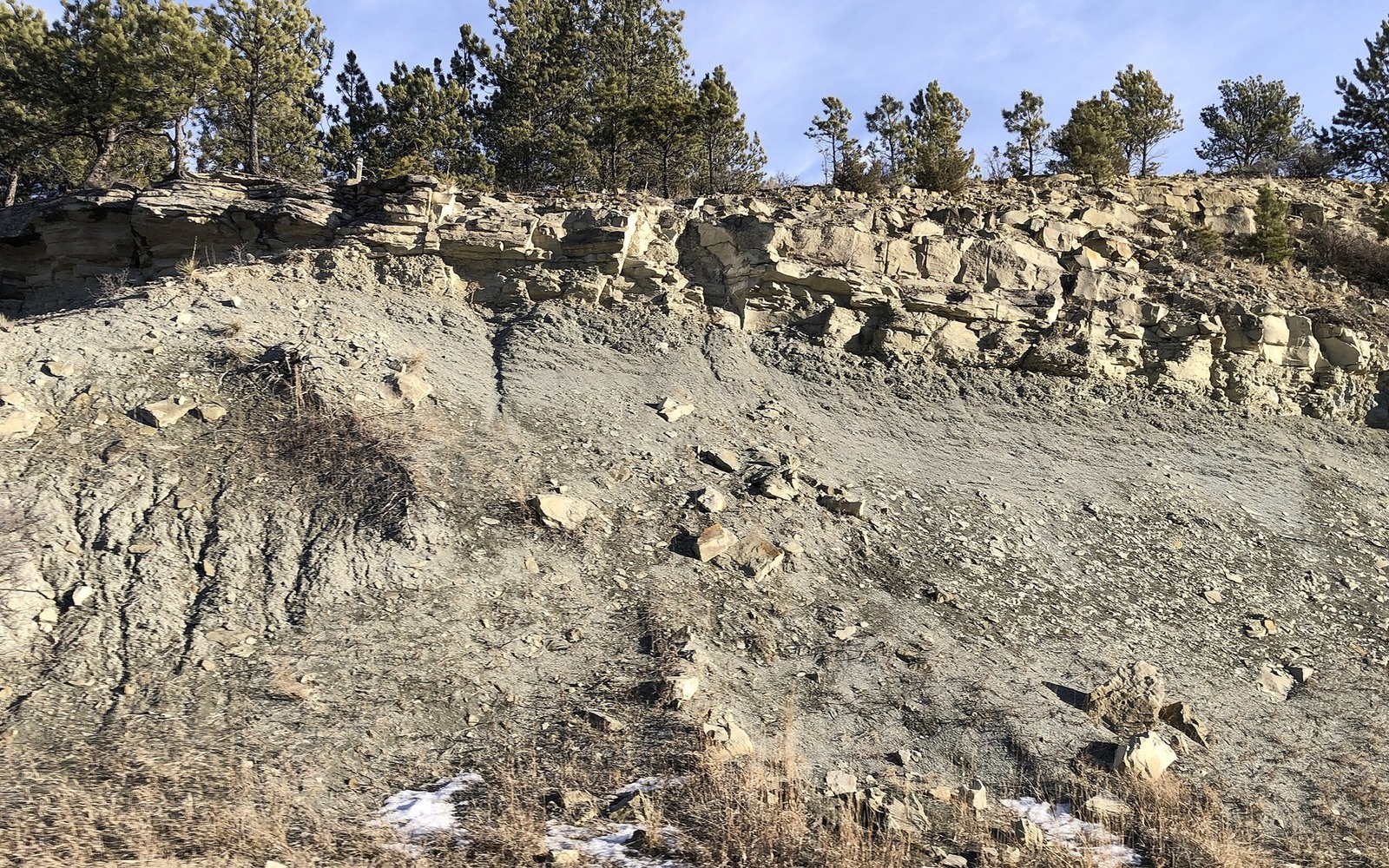 Sell Mineral Rights in Klein, MT