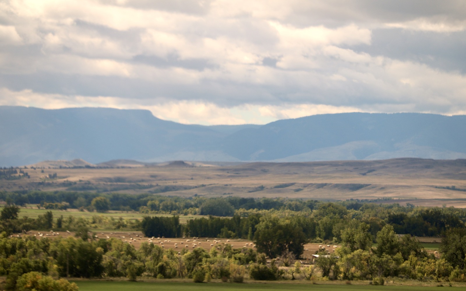 Sell Mineral Rights in Lodge Grass, MT