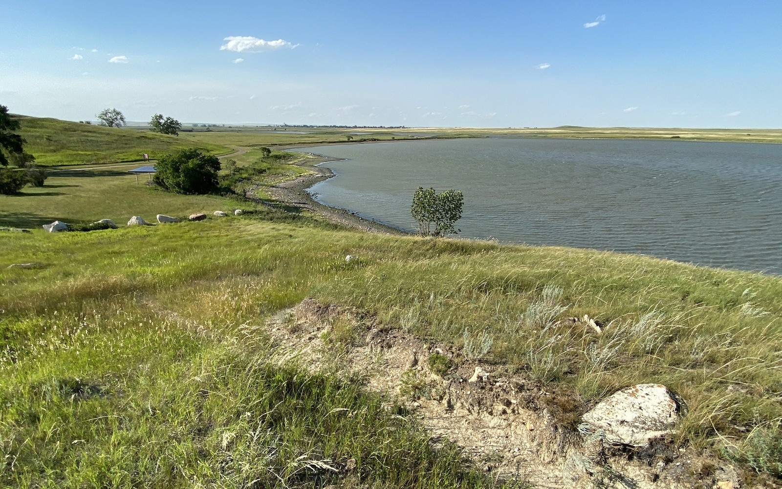Sell Mineral Rights in Medicine Lake, MT