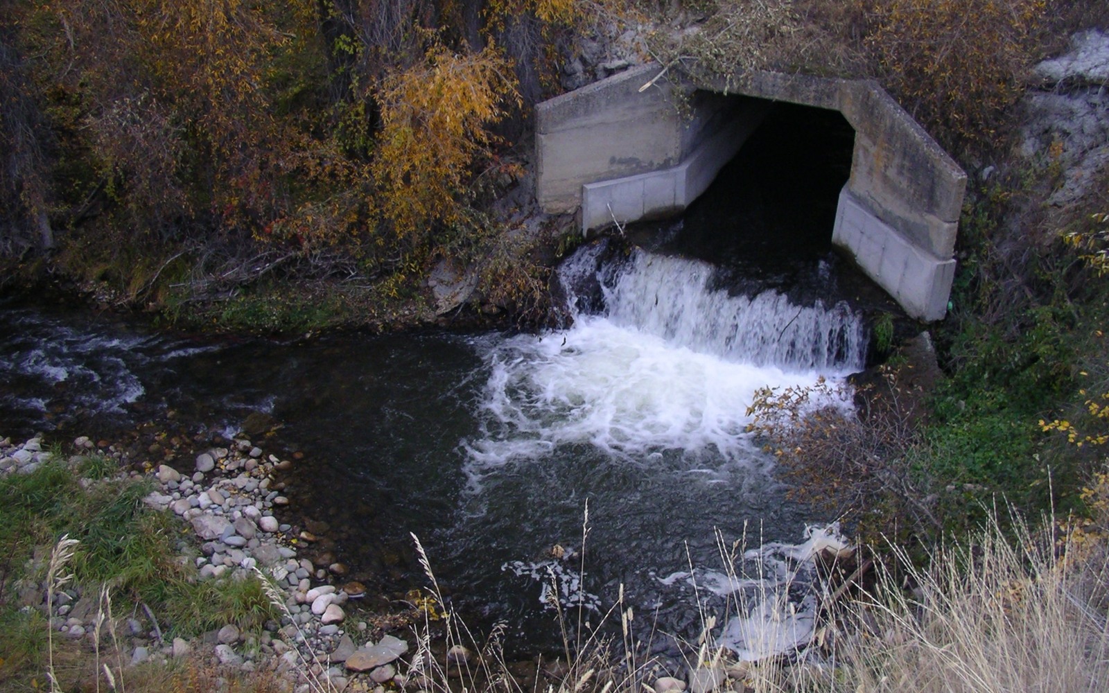 Sell Mineral Rights in Roberts, MT