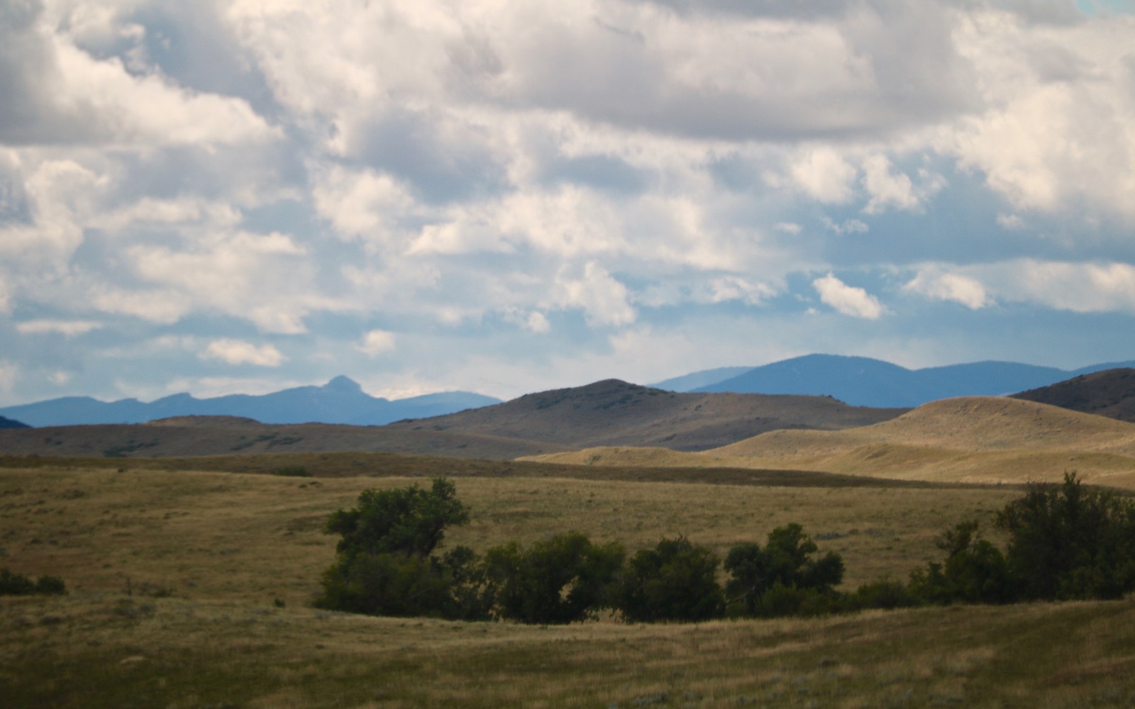 Sell Mineral Rights in Wyola, MT