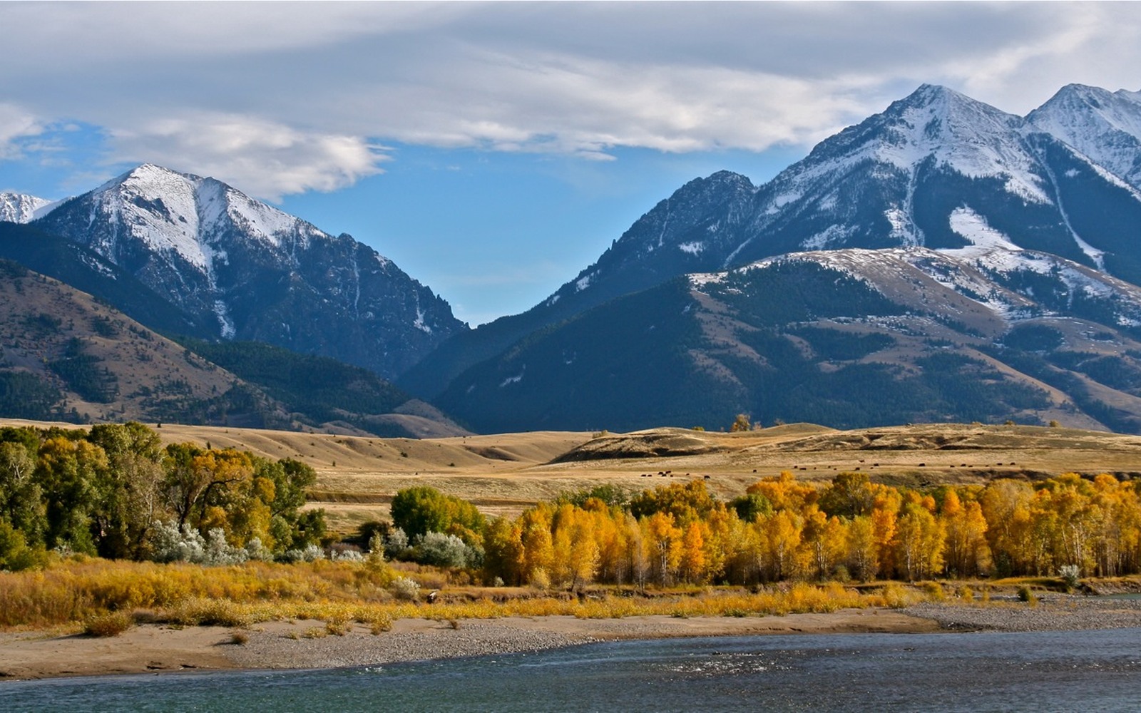 Sell Mineral Rights in Yellowstone County, MT